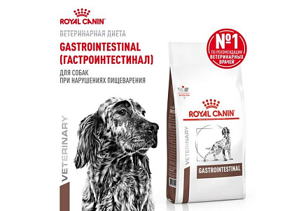 Royal Canin Gastro Intestinal GI25 Ветеринарный сухой корм Роял Канин Гастро Интестинал для взрослых собак при нарушении Пищеварения 15 кг