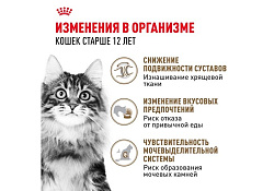 Royal Canin Ageing 12+ Jelly Влажный корм (Консервы-Паучи) Роял Канин Эйжинг для Пожилых кошек старше 12 лет в Желе (цена за упаковку) 85г х 28шт