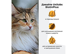 Unitabs BiotinPlus с Q10 paste Витаминно-минеральная паста Юнитабс для кошек с Биотином и Таурином 120 мл