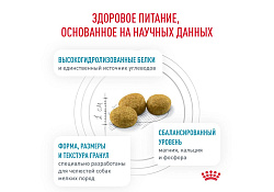 Royal Canin Hypoallergenic Small Dog HSD24 Ветеринарный сухой корм Роял Канин Гипоаллергенный для собак Мелких пород с Пищевой аллергией и непереносимостью 3,5 кг