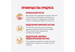 Royal Canin Breed Kitten Maine Coon Влажный корм (Консервы-Паучи) Роял Канин для Котят породы Мэйн Кун в возрасте до 15 месяцев (цена за упаковку) 85г х 28шт