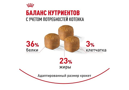 Royal Canin Breed cat Kitten Maine Coon Сухой корм Роял Канин для Котят породы Мэйн Кун в возрасте до 15 месяцев 2 кг