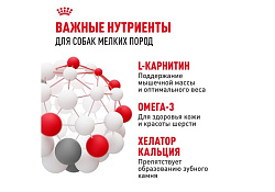 Royal Canin Mini Adult 8+ Сухой корм Роял Канин Мини для Пожилых собак Мелких пород старше 8 лет 4 кг