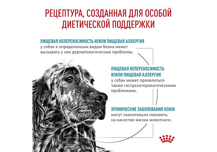 Royal Canin Hypoallergenic DR21 Ветеринарный сухой корм Роял Канин Гипоаллергенный для собак с Пищевой аллергей и непереносимостью 2 кг