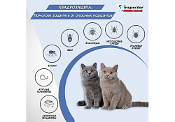 Inspector Quadro К Капли Инспектор от Внешних и Внутренних паразитов для кошек весом от 1 до 4 кг 1 шт