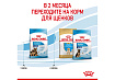 Royal Canin Maxi Starter Сухой корм Роял Канин Макси Стартер для Щенков Крупных пород до 2 месяцев 15 кг