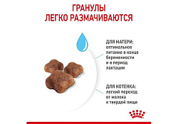 Royal Canin Mother & Babycat Сухой корм Роял Канин Бэйбикэт для Котят в возрасте от 1 до 4 месяцев 400 г