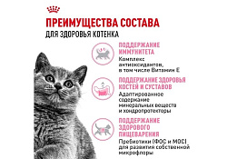 Royal Canin Breed cat Kitten British Shorthair Сухой корм Роял Канин для Котят породы Британская короткошерстная в возрасте от 4 до 12 месяцев 400 г