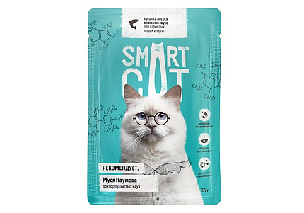 Smart Cat Паучи Смарт Кэт для Котят и взрослых кошек Лосось в нежном соусе (цена за упаковку) 85г х 25шт