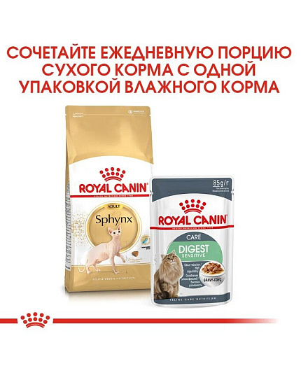 Сухой корм Royal Canin Sphynx Adult для взрослых кошек породы Сфинкс, 2 кг