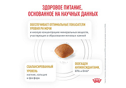 Royal Canin Urinary S O LP18 2 кг