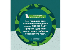 PURINA ONE SUPERFOOD Сухой корм Пурина УАН для взрослых стерилизованных кошек с говядиной 680 г