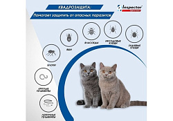Inspector Quadro К Капли Инспектор от Внешних и Внутренних паразитов для кошек весом от 8 до 15 кг 1 шт