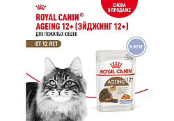 Royal Canin Ageing 12+ Jelly Влажный корм (Консервы-Паучи) Роял Канин Эйжинг для Пожилых кошек старше 12 лет в Желе (цена за упаковку) 85г х 28шт