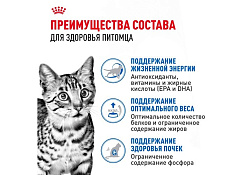 Royal Canin Indoor 7+ Sause Влажный корм (Консервы-Паучи) Роял Канин Индор для Стерилизованных Пожилых кошек старше 7 лет Живущих в помещении в Соусе (цена за упаковку) 85г х 28шт