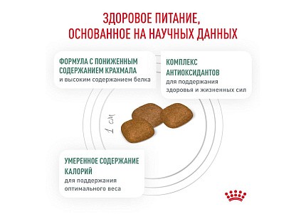 Royal Canin Diabetic Canine DC37 Ветеринарный сухой корм Роял Канин Диабетик для собак Сахарный диабет 12 кг