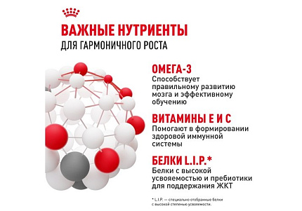 Royal Canin Mini Puppy Сухой корм Роял Канин Мини Паппи для Щенков Мелких пород в возрасте от 2 до 10 месяцев 4 кг
