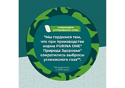 PURINA ONE SUPERFOOD Сухой корм Пурина УАН для взрослых кошек с курицей 180 г