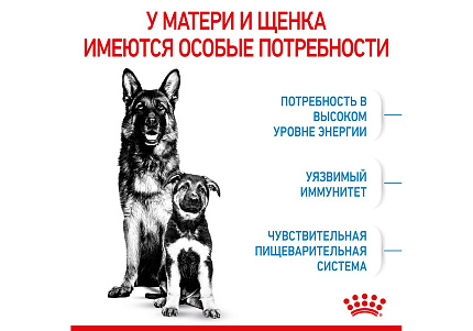Royal Canin Maxi Starter Сухой корм Роял Канин Макси Стартер для Щенков Крупных пород до 2 месяцев 15 кг