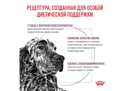 Royal Canin Renal RF14 Ветеринарный сухой корм Роял Канин Ренал для собак Заболевание почек (хроническая почечная недостаточность) 2 кг