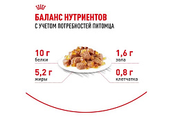 Royal Canin Ageing 12+ Jelly Влажный корм (Консервы-Паучи) Роял Канин Эйжинг для Пожилых кошек старше 12 лет в Желе (цена за упаковку) 85г х 28шт