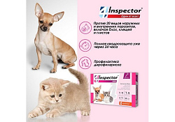 Inspector Мини Капли Инспектор от Внешних и Внутренних паразитов для кошек и собак весом от 0,5 до 2 кг 1 шт
