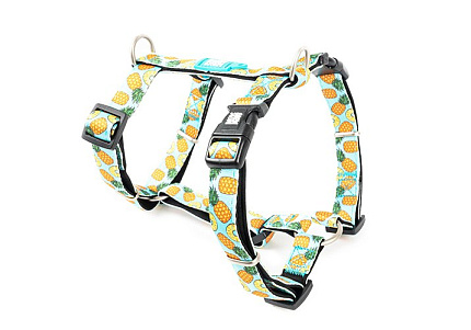 Max & Molly Н-образная шлейка Макс и Молли для собак Сладкий ананас M 36-58 см; 2,0х53-69 см