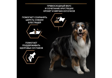 PRO PLAN DUO DELICE Сухой корм ПРО ПЛАН для взрослых собак средних и крупных пород с говядиной 2,5 кг