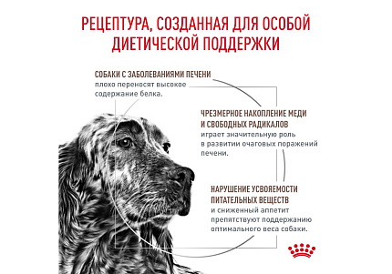 Royal Canin Hepatic HF16 Ветеринарный сухой корм Роял Канин Гепатик для собак Заболевание печени Пироплазмоз 6 кг