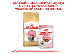 Royal Canin Breed cat Kitten Persian Сухой корм Роял Канин для Котят Персидской породы в возрасте от 4 до 12 месяцев 400 г Royal Canin Breed cat Kitten Persian Сухой корм Роял Канин для Котят Персидской породы в возрасте от 4 до 12 месяцев 400 г