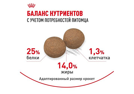 Royal Canin Medium Adult Сухой корм Роял Канин Медиум Эдалт для Взрослых собак Средних пород в возрасте от 1 года до 7 лет 15 кг