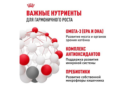 Royal Canin Kitten Сухой корм Роял Канин Киттен для Котят в возрасте от 4 до 12 месяцев 1,2 кг