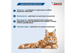 Inspector Quadro К Капли Инспектор от Внешних и Внутренних паразитов для кошек весом от 8 до 15 кг 1 шт