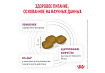 Royal Canin Renal RF14 Ветеринарный сухой корм Роял Канин Ренал для собак Заболевание почек (хроническая почечная недостаточность) 2 кг