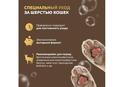 Iv San Bernard Just for cats Apricot Шампунь Ив Сан Бернард для кошек для короткой и средней шерсти 1 л