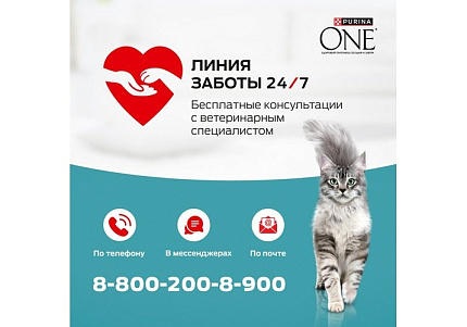 PURINA ONE KITTEN Влажный корм Паучи Пурина УАН для котят с курицей (цена за упаковку) 75г х 26шт