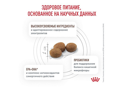 Royal Canin Gastro Intestinal GI25 Ветеринарный сухой корм Роял Канин Гастро Интестинал для взрослых собак при нарушении Пищеварения 15 кг