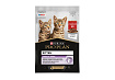 PRO PLAN KITTEN Влажный корм Паучи ПРО ПЛАН для котят с говядиной в соусе (цена за упаковку) 85г х 26шт