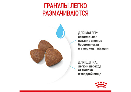 Royal Canin Medium Starter Сухой корм Роял Канин Медиум Стартер для Щенков Средних пород в возрасте до 2 месяцев 4 кг