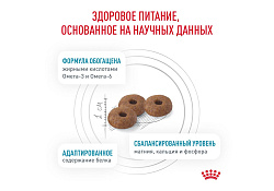 Royal Canin Skin & Coat Feline Ветеринарный сухой корм Роял Канин для Стерилизованных кошек с повышенной Чувствительностью кожи 3,5 кг