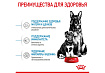 Royal Canin Maxi Starter Сухой корм Роял Канин Макси Стартер для Щенков Крупных пород до 2 месяцев 15 кг