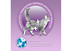 PURINA ONE Влажный корм Паучи Пурина УАН для кошек особенно привередливых к вкусу индейка утка с морковью (цена за упаковку) 75г х 26шт