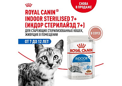Royal Canin Indoor 7+ Sause Влажный корм (Консервы-Паучи) Роял Канин Индор для Стерилизованных Пожилых кошек старше 7 лет Живущих в помещении в Соусе (цена за упаковку) 85г х 28шт