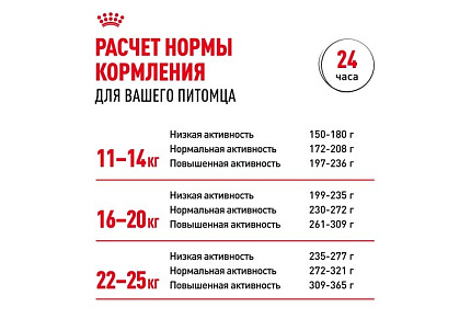 Royal Canin Medium Adult Сухой корм Роял Канин Медиум Эдалт для Взрослых собак Средних пород в возрасте от 1 года до 7 лет 15 кг