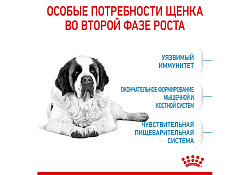 Royal Canin Giant Junior Сухой корм Роял Канин Джайнт Юниор для Щенков Гигантских пород в возрасте от 8 месяцев до 2 лет 15 кг