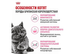 Royal Canin Breed cat Kitten British Shorthair Сухой корм Роял Канин для Котят породы Британская короткошерстная в возрасте от 4 до 12 месяцев 400 г