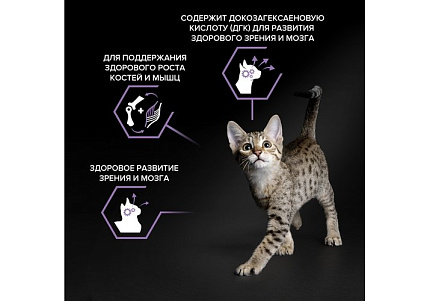 PRO PLAN HEALTHY START KITTEN Сухой корм ПРО ПЛАН для Котят, беременных и кормящих кошек Поддержание иммунитета и здорового развития с Курицей 1,5 кг