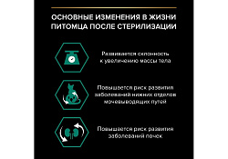 PRO PLAN STERILISED Влажный корм Паучи ПРО ПЛАН для взрослых стерилизованных кошек с говядиной в соусе (цена за упаковку) 85г x 26шт