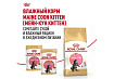Royal Canin Breed cat Kitten Maine Coon Сухой корм Роял Канин для Котят породы Мэйн Кун в возрасте до 15 месяцев 2 кг