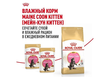 Royal Canin Breed cat Kitten Maine Coon Сухой корм Роял Канин для Котят породы Мэйн Кун в возрасте до 15 месяцев 2 кг